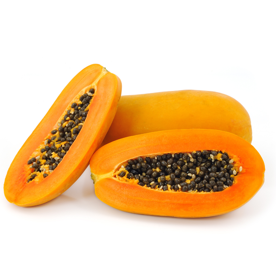 Red Lady Papaya