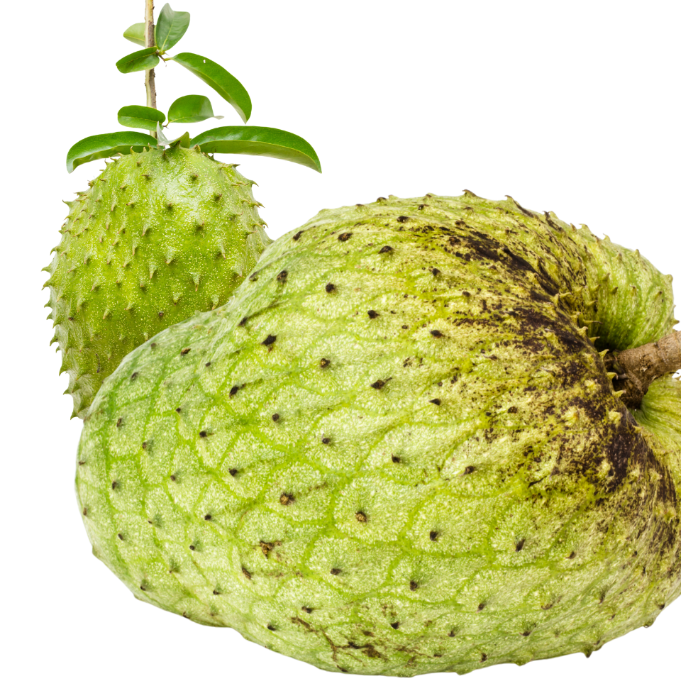 Soursop
